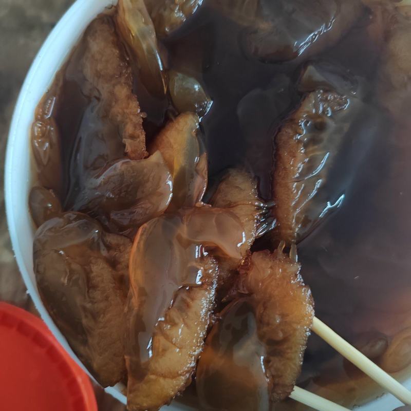 海蜇