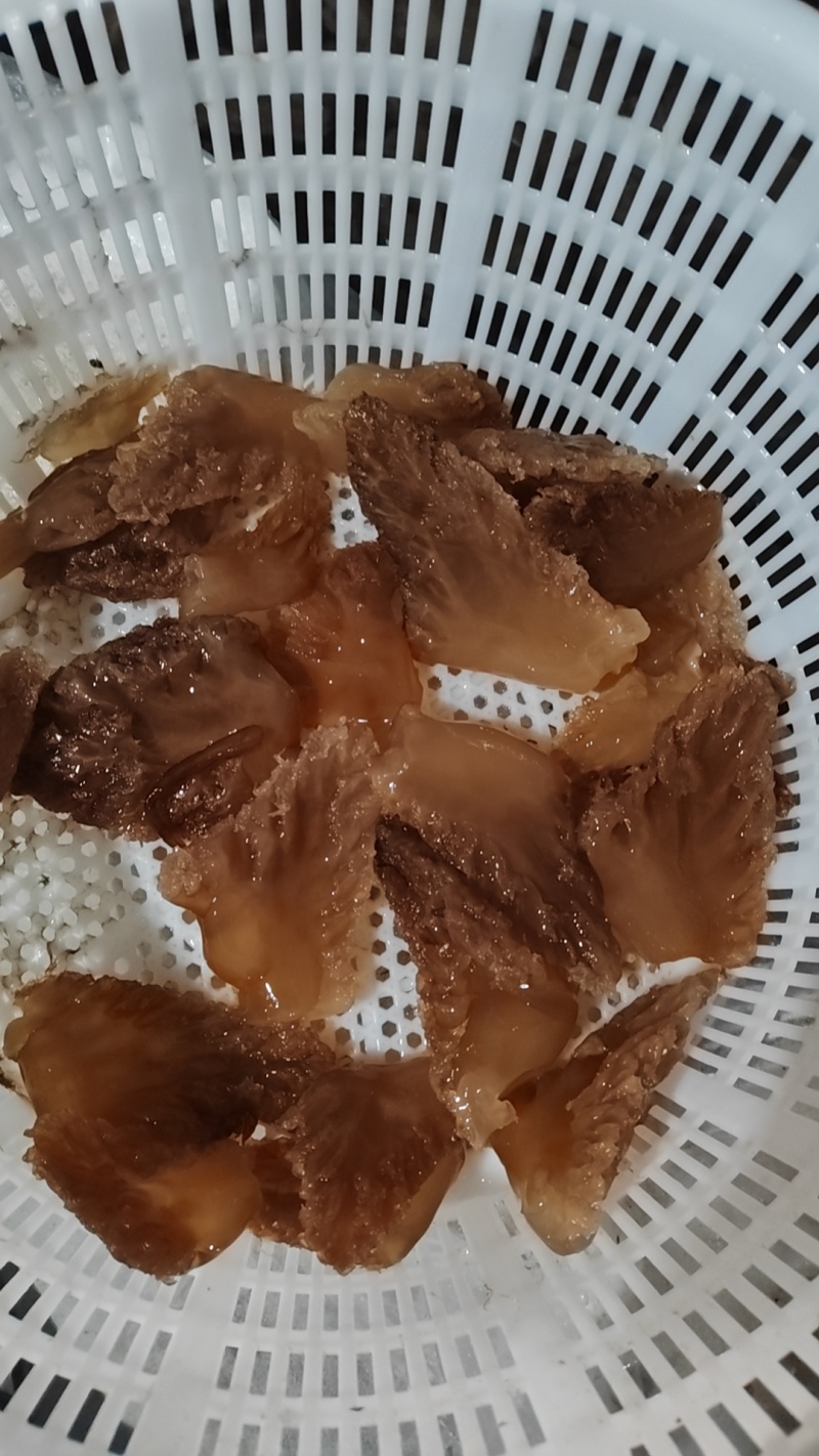 海蜇
