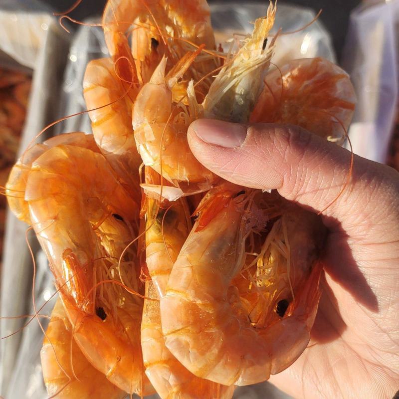 烤虾山东烤虾干虾淡干淡盐风味十足规格齐全对接全国