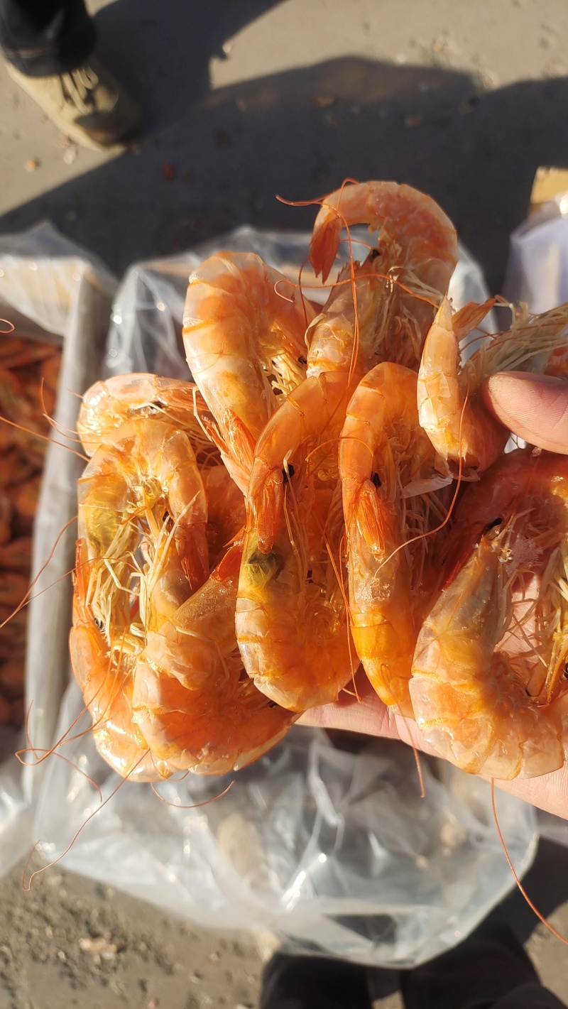 烤虾山东烤虾干虾淡干淡盐风味十足规格齐全对接全国