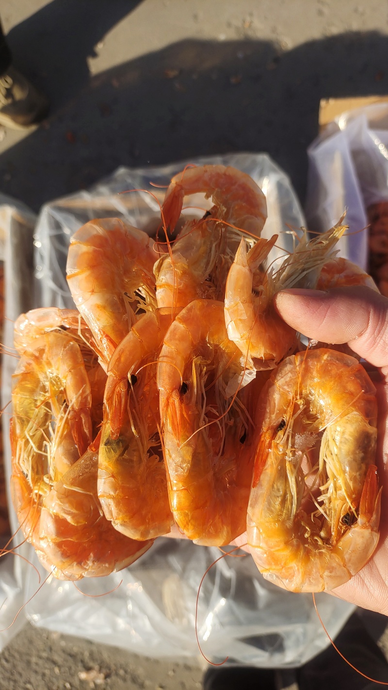 烤虾山东烤虾干虾淡干淡盐风味十足规格齐全对接全国