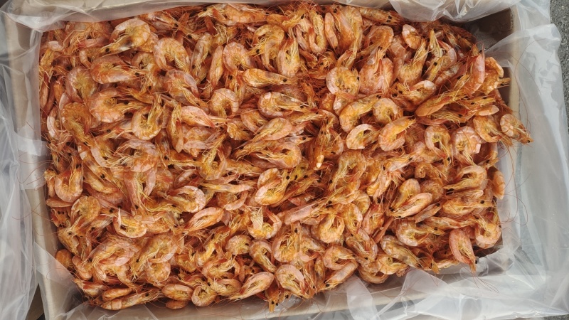 烤虾山东烤虾干虾淡干淡盐风味十足规格齐全对接全国