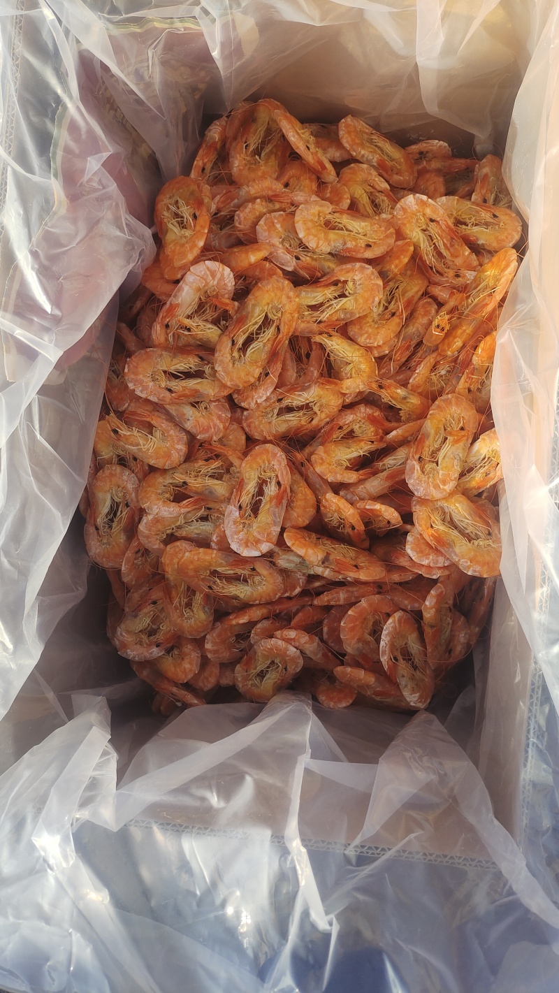 烤虾山东烤虾干虾淡干淡盐风味十足规格齐全对接全国