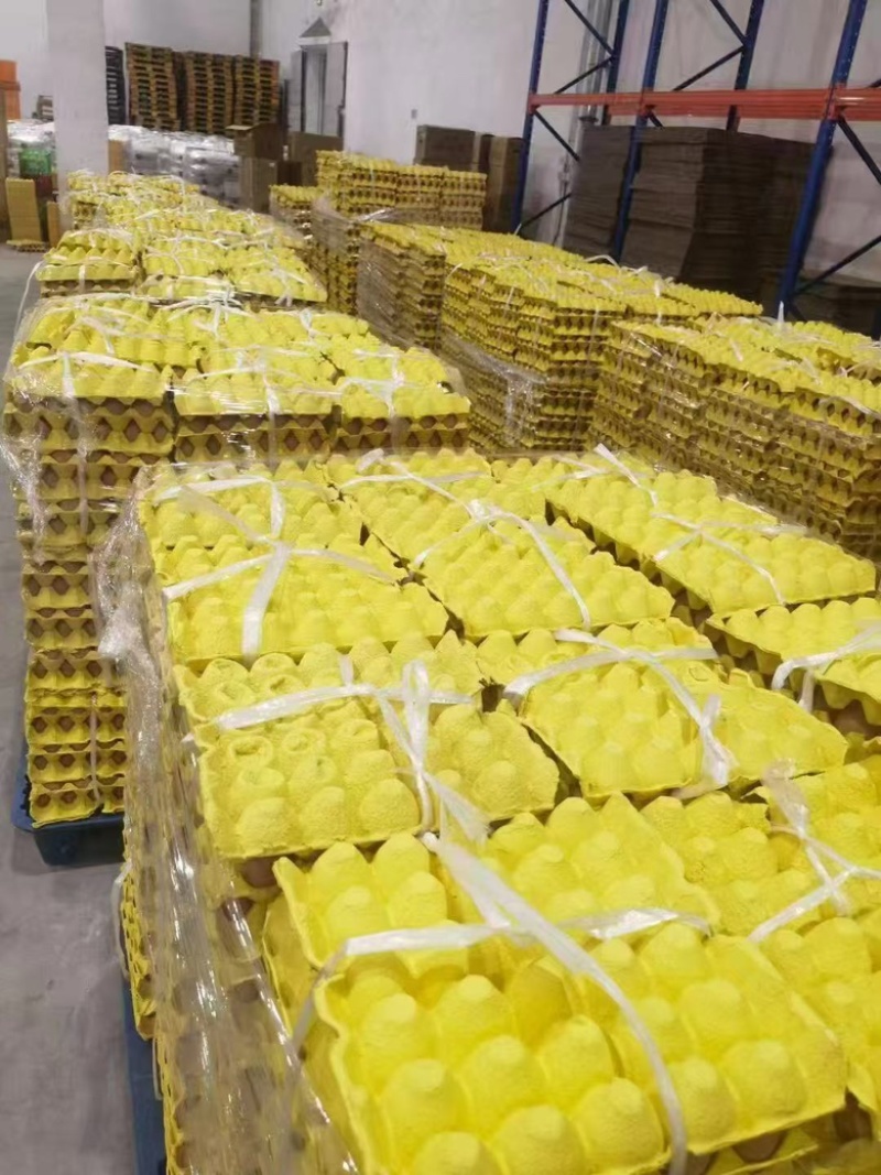 红皮鸡蛋，养殖场直发，品质保障，对接各大市场商超电商