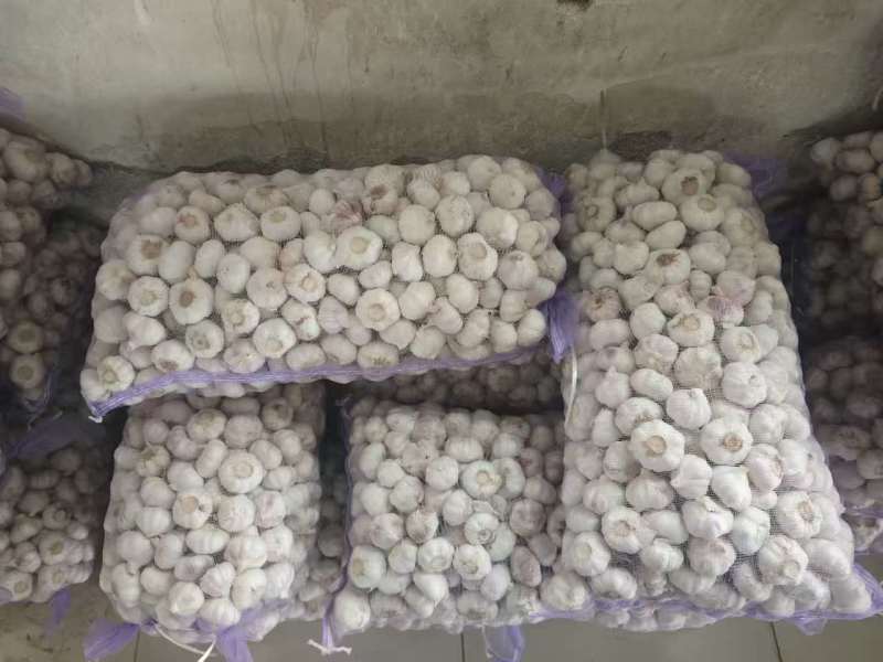 蒜米，好原料，出好蒜米！根据客户要求定做…