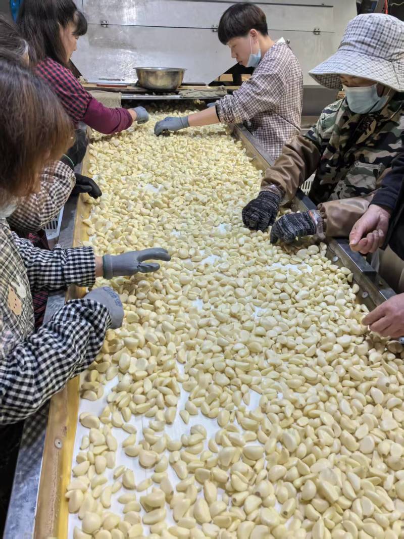 蒜米，好原料，出好蒜米！根据客户要求定做…