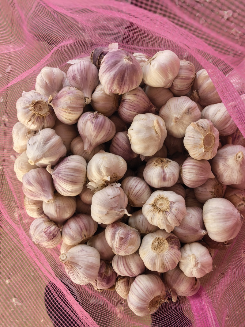 蒜米，好原料，出好蒜米！根据客户要求定做…