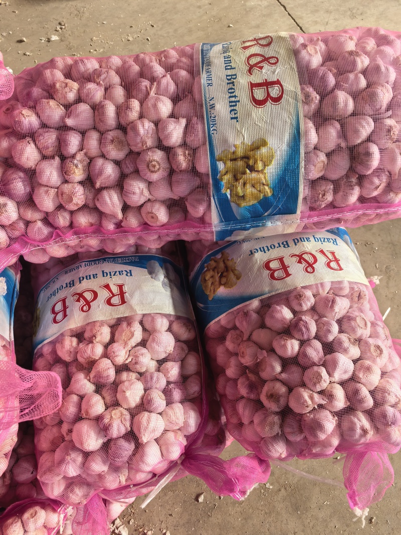 蒜米，好原料，出好蒜米！根据客户要求定做…