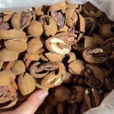 碧根果半片新货坚果源头工厂直销坚果干果