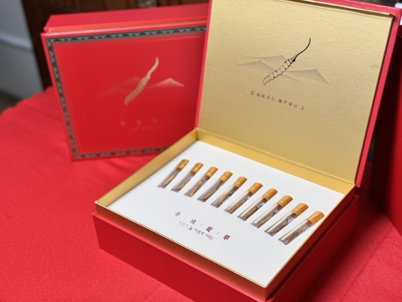 冬虫夏草礼盒装虫草批发虫草礼盒原产地虫草厂家