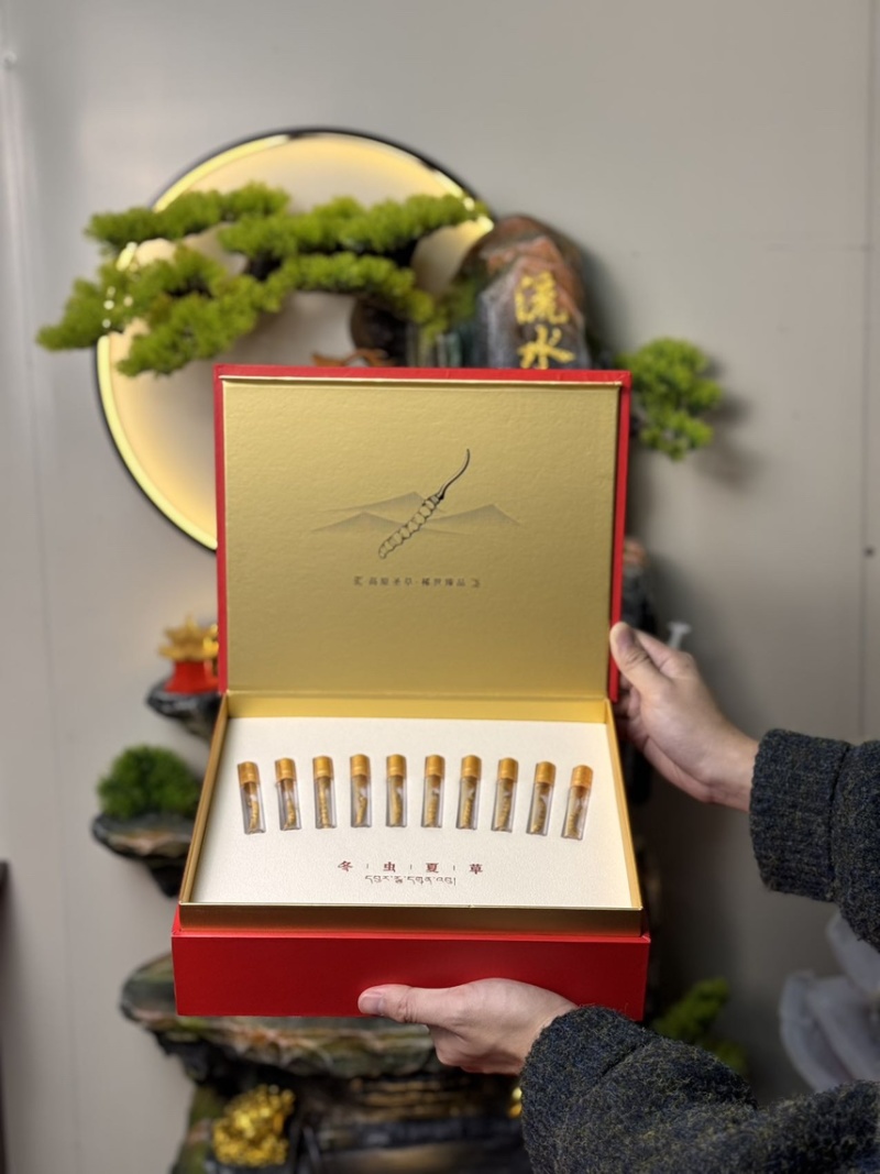 冬虫夏草礼盒装虫草批发虫草礼盒原产地虫草厂家