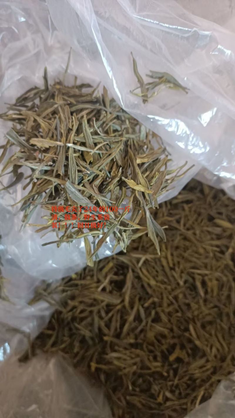 茶厂清仓，特级毛尖50元/斤散茶