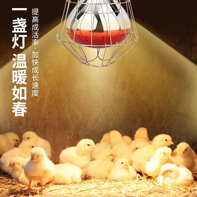 保温灯养殖取暖灯小鸡猪仔加热灯泡鸭鹅猪用防水防爆烤灯