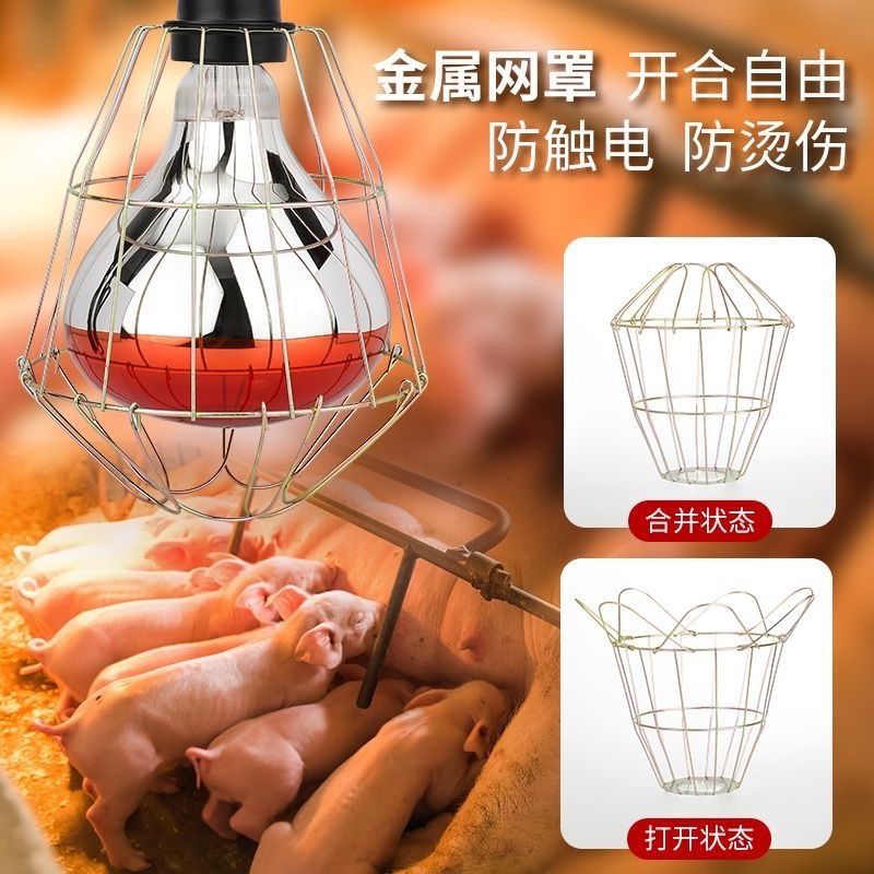 保温灯养殖取暖灯小鸡猪仔加热灯泡鸭鹅猪用防水防爆烤灯