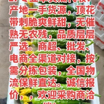 旱黄瓜产地2元