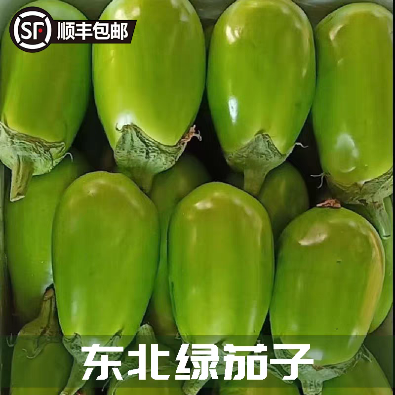 【辽宁精品青茄】现摘现发大量上市欢迎各位老板电联
