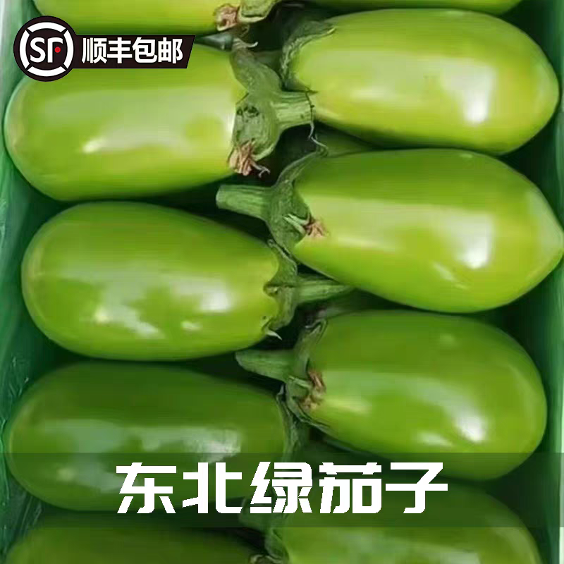 【辽宁精品青茄】现摘现发大量上市欢迎各位老板电联