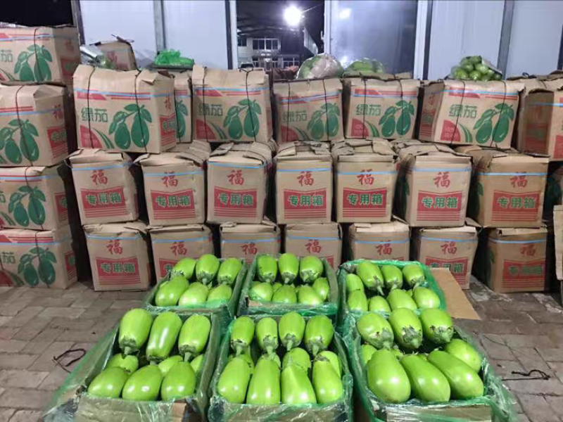 【辽宁精品青茄】现摘现发大量上市欢迎各位老板电联