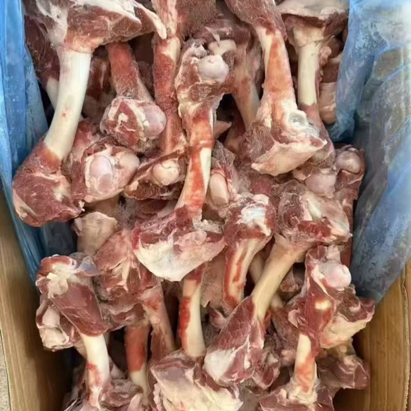 羊棒骨加肉羔羊棒骨一手货源