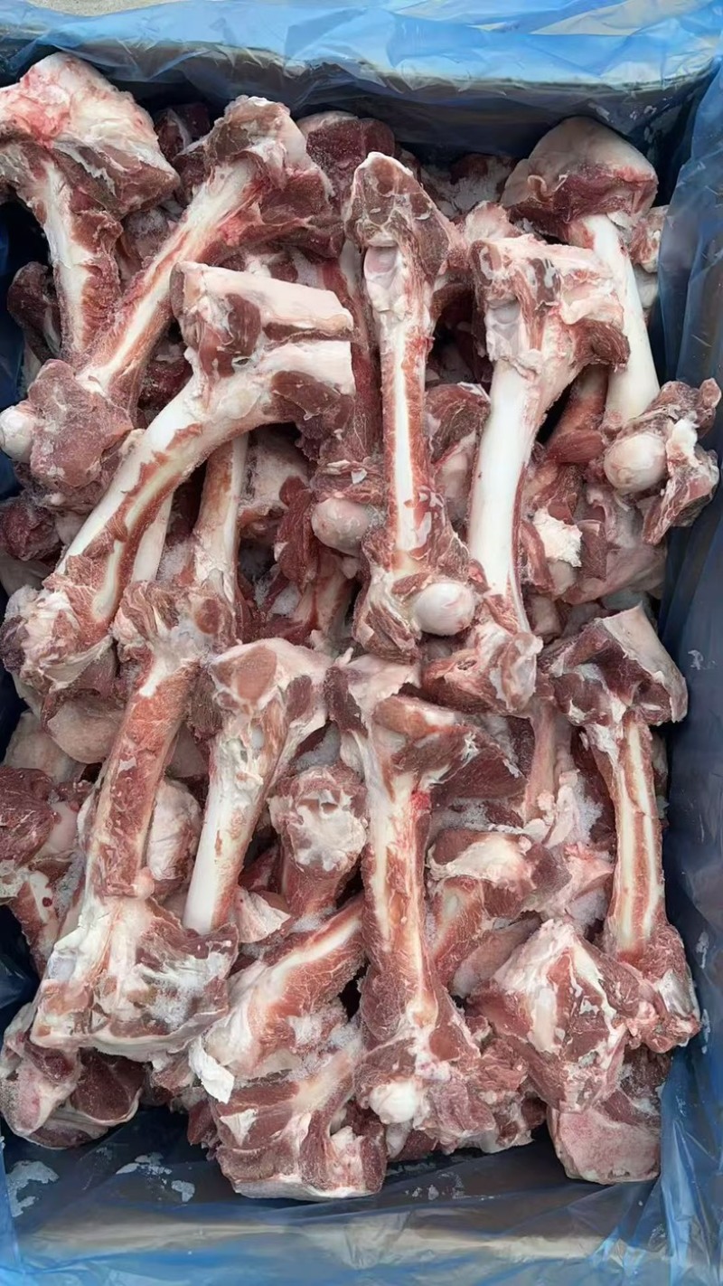 羊棒骨加肉羔羊棒骨一手货源