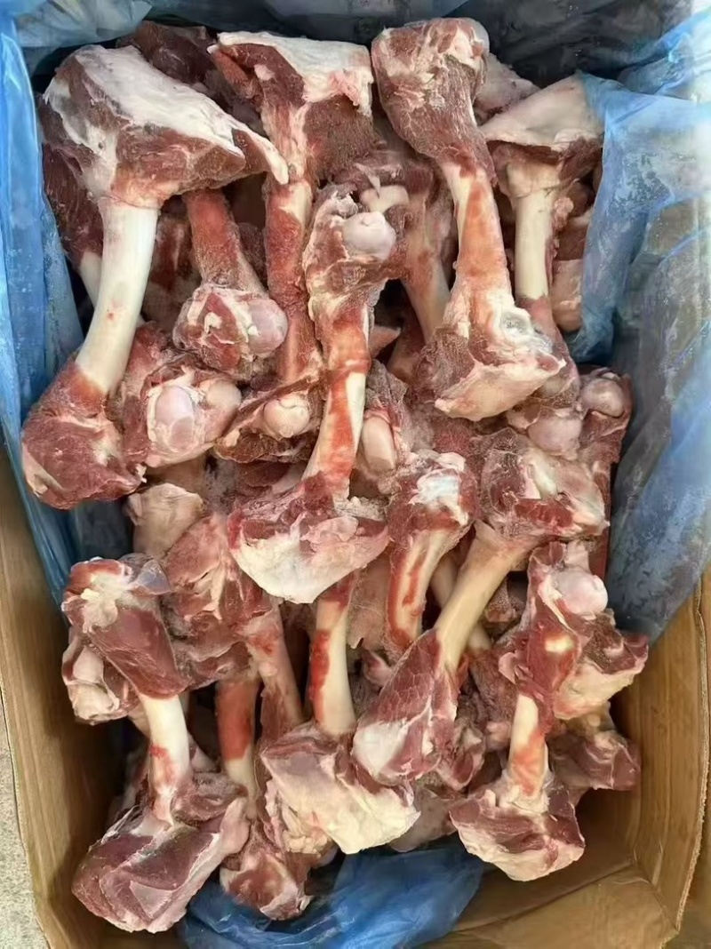 羊棒骨加肉羔羊棒骨一手货源