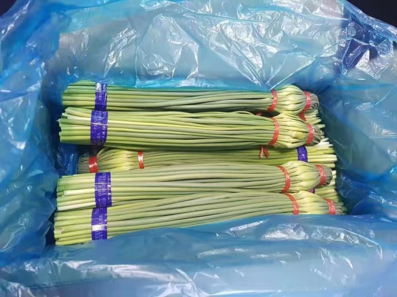 蒜苔大量有货品质优现发新鲜有需要的老板联系