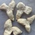 识“材”食用：如何挑选一块好的广西陈皮？