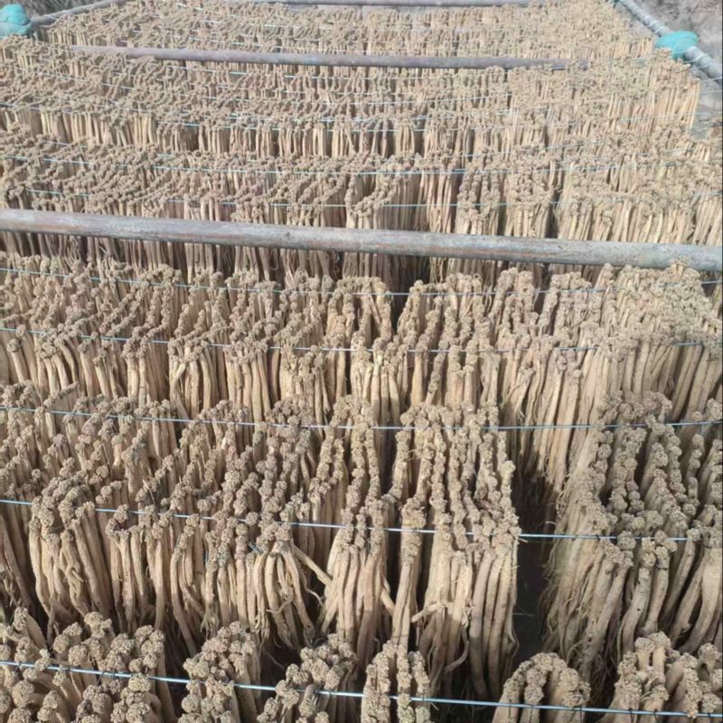 无硫党参全干货甘肃岷县白条党参产地直供质量保证