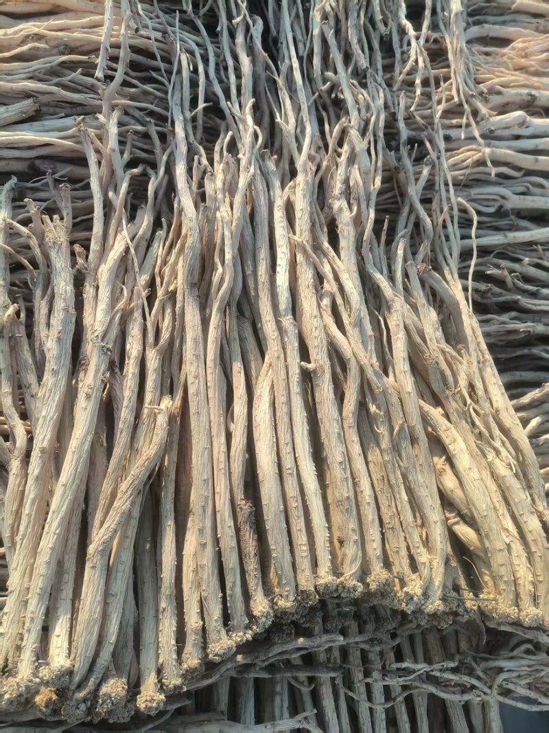 无硫党参全干货甘肃岷县白条党参产地直供质量保证