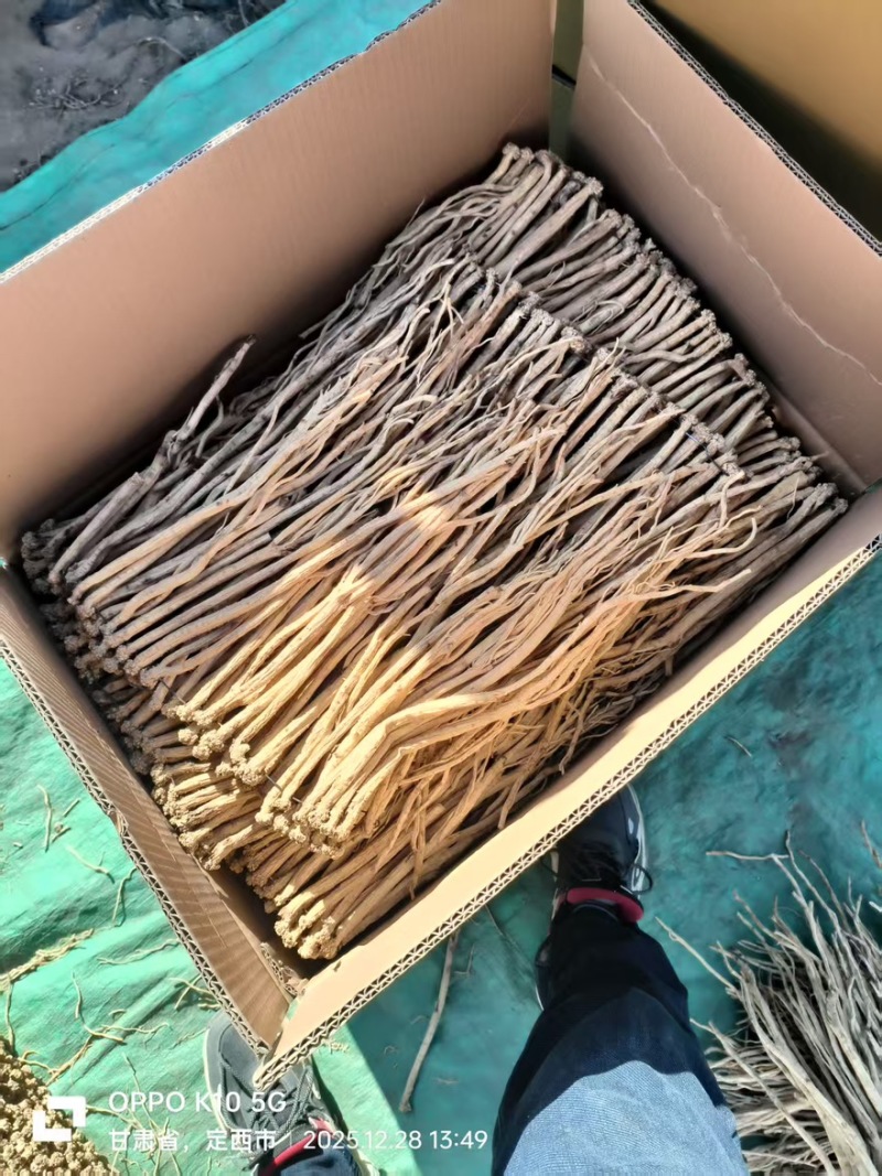 无硫党参全干货甘肃岷县白条党参产地直供质量保证