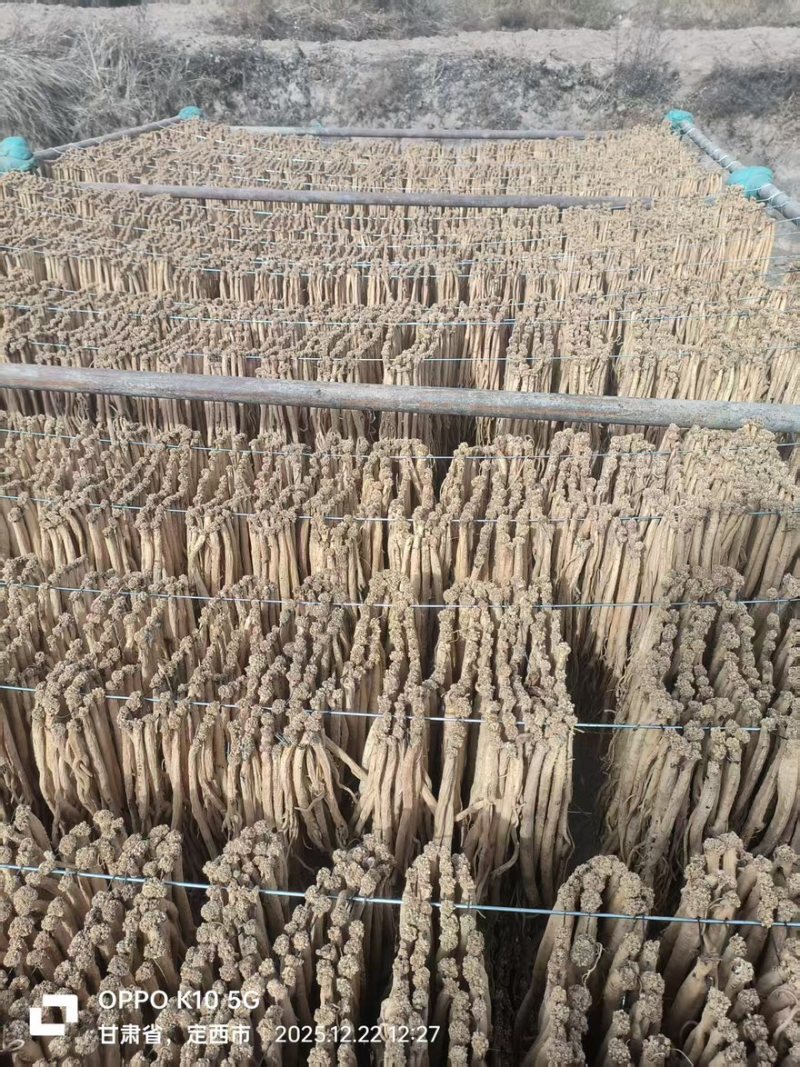 无硫党参全干货甘肃岷县白条党参产地直供质量保证
