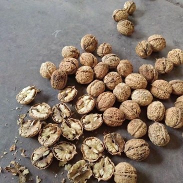 大麻果核桃