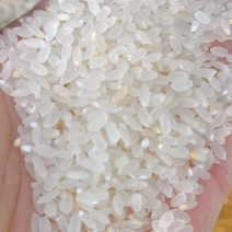 稻花香胚芽米