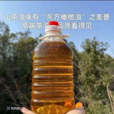 湖南正宗野生纯山茶油健康绿色食品油中**