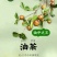 湖南正宗野生纯山茶油健康绿色食品油中**