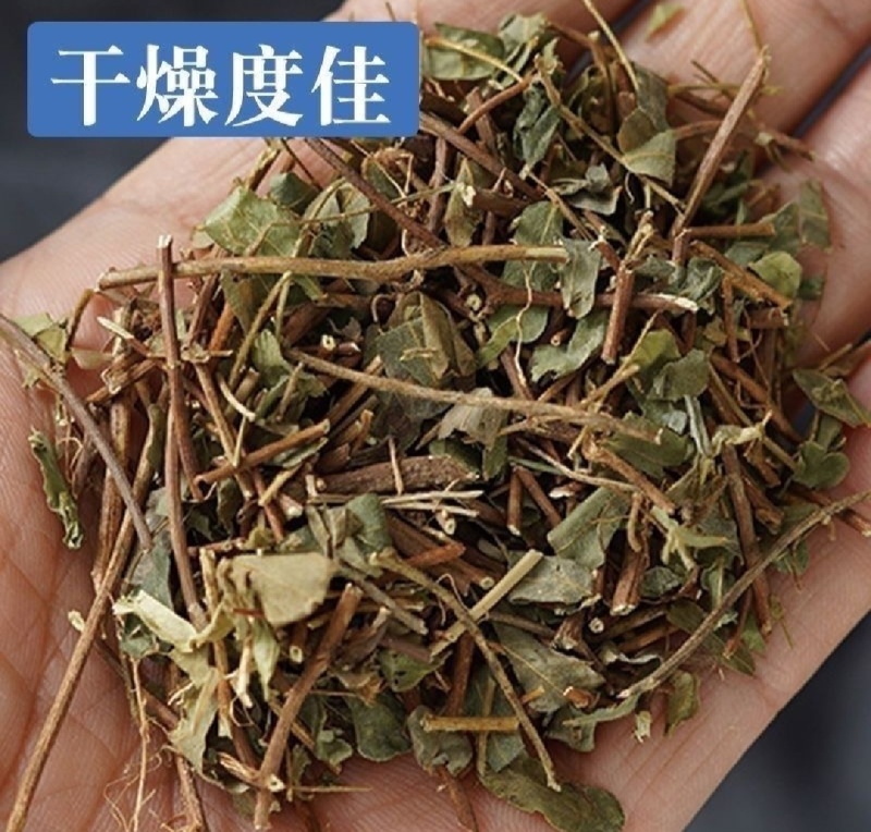 鸡骨草统装500g产地广西振兴药材购销站量大从