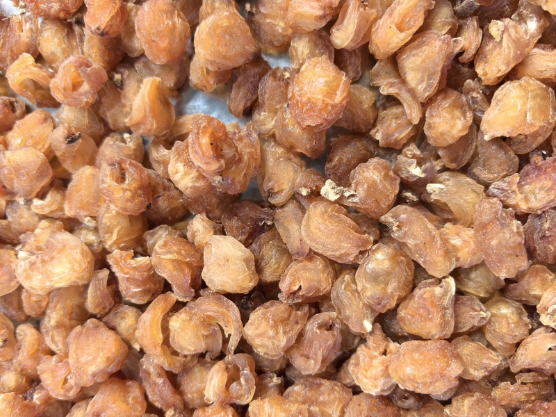 广西博白石硖桂圆肉泡茶龙眼肉特产干货广西博白新货桂圆肉干无核