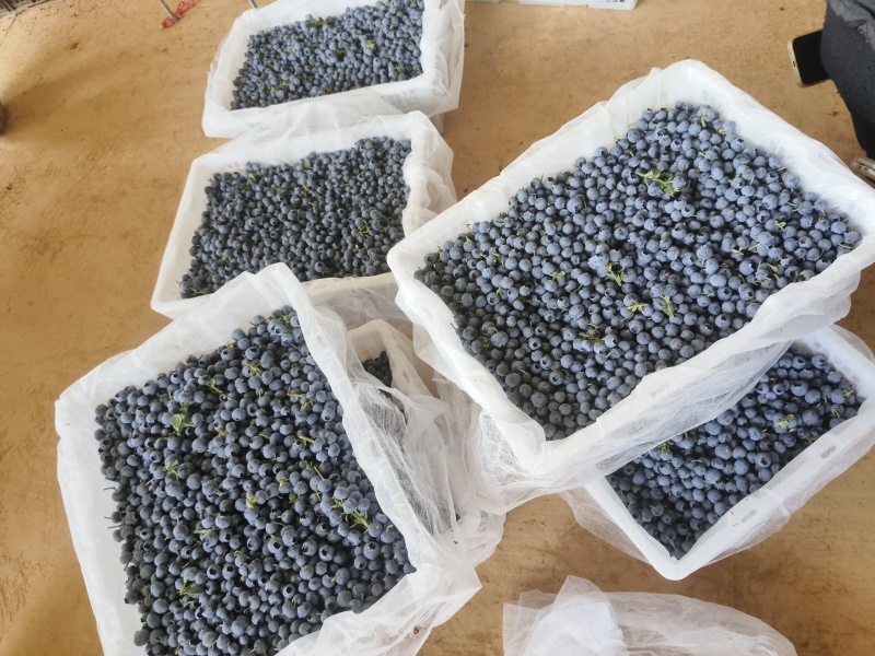 F6大量有货。