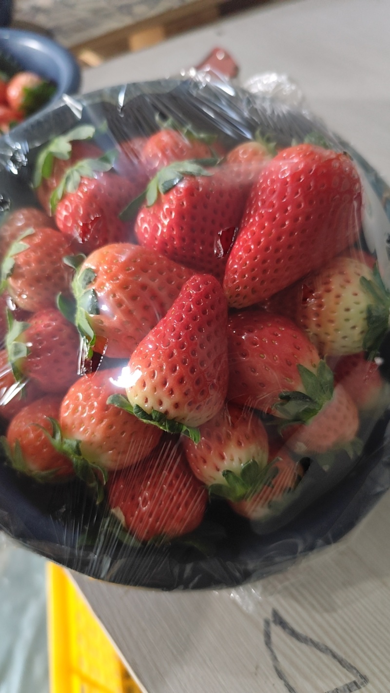草莓