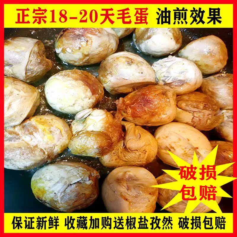 40枚新鲜毛鸡蛋全鸡鸡胚蛋喜蛋凤凰蛋可做麻辣毛蛋五香毛蛋