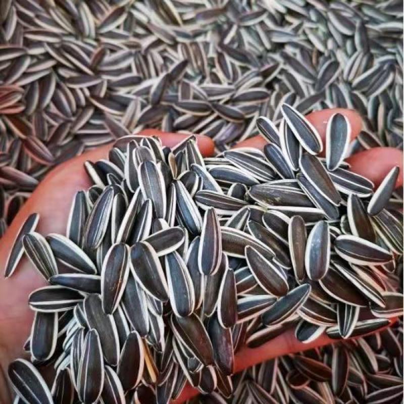 瓜子！批发5斤五香瓜子焦糖味瓜子原味瓜子小包装小袋葵花