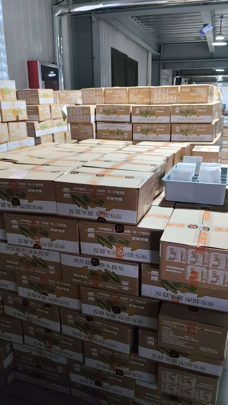 山东鲜食玉米，真空独立包装，常温保存，口感甜糯