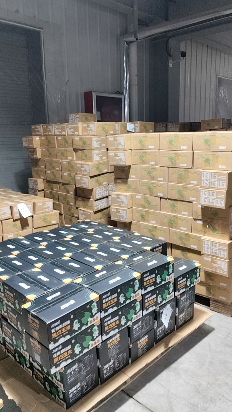 山东鲜食玉米，真空独立包装，常温保存，口感甜糯