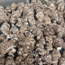 重楼中药材重楼个500g七叶一枝花蚤休七叶莲