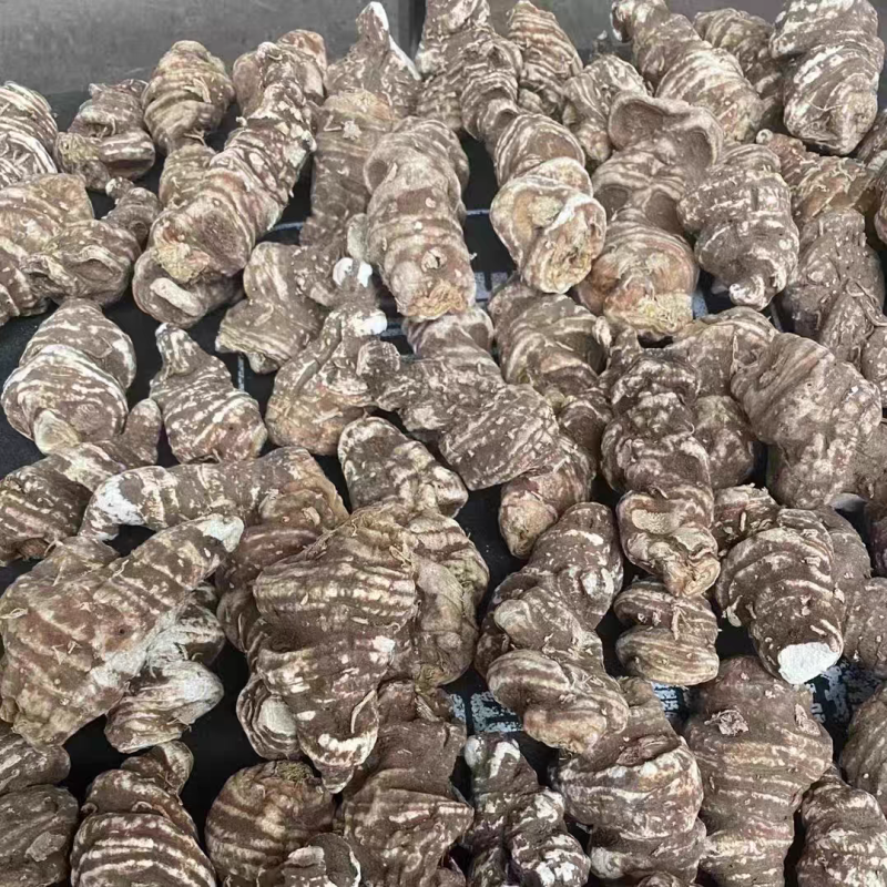 重楼中药材重楼个500g七叶一枝花蚤休七叶莲