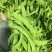 广西南宁荷兰豆大量基地现货～现货欢迎各位大佬采购