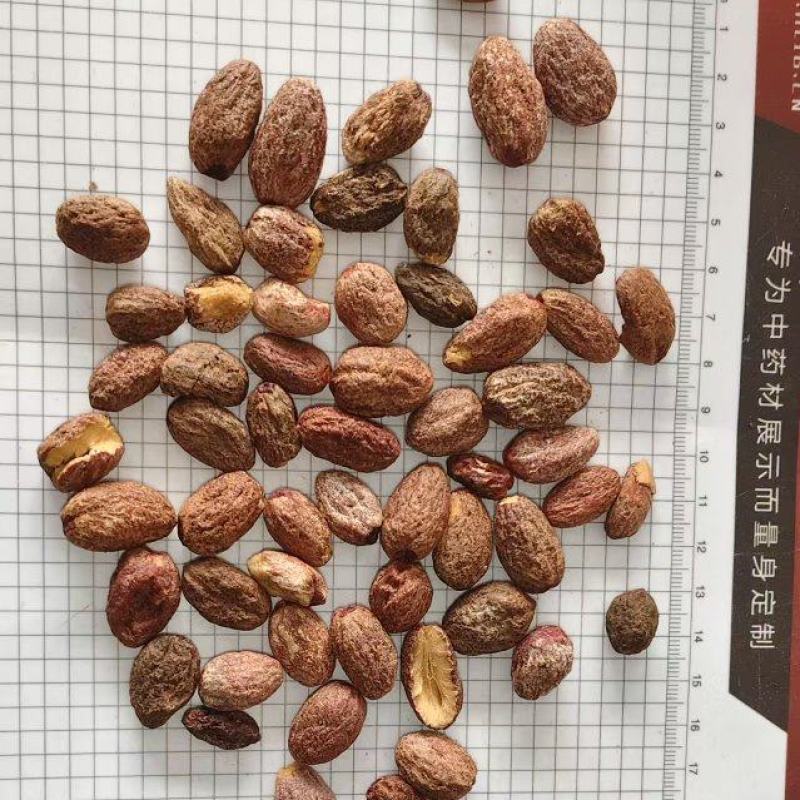 中药材冷背药材榧子仁，实物拍摄货真价实，批发零售量大从优