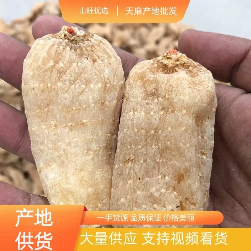 天麻个子，天麻批发，湖北天麻乌红天麻