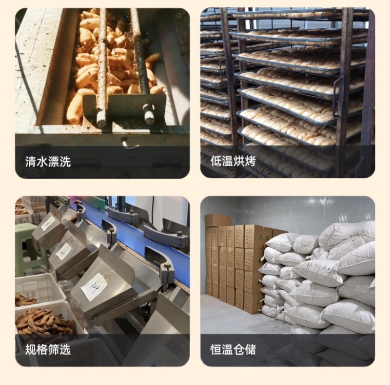 天麻个子，天麻批发，湖北天麻乌红天麻