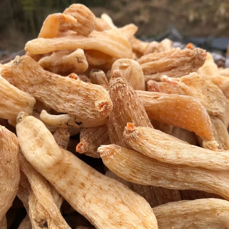 天麻个子，天麻批发，湖北天麻乌红天麻